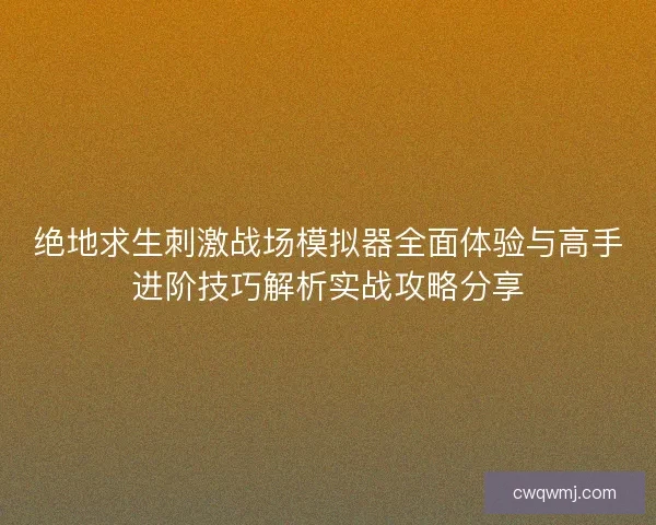 绝地求生刺激战场模拟器全面体验与高手进阶技巧解析实战攻略分享