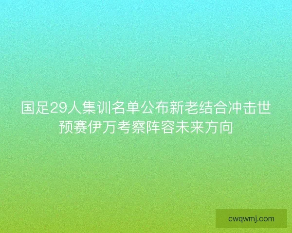 国足29人集训名单公布新老结合冲击世预赛伊万考察阵容未来方向